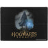 Wizarding Worlds Hogwarts Legacy Character art Surface Pro 8 Skin